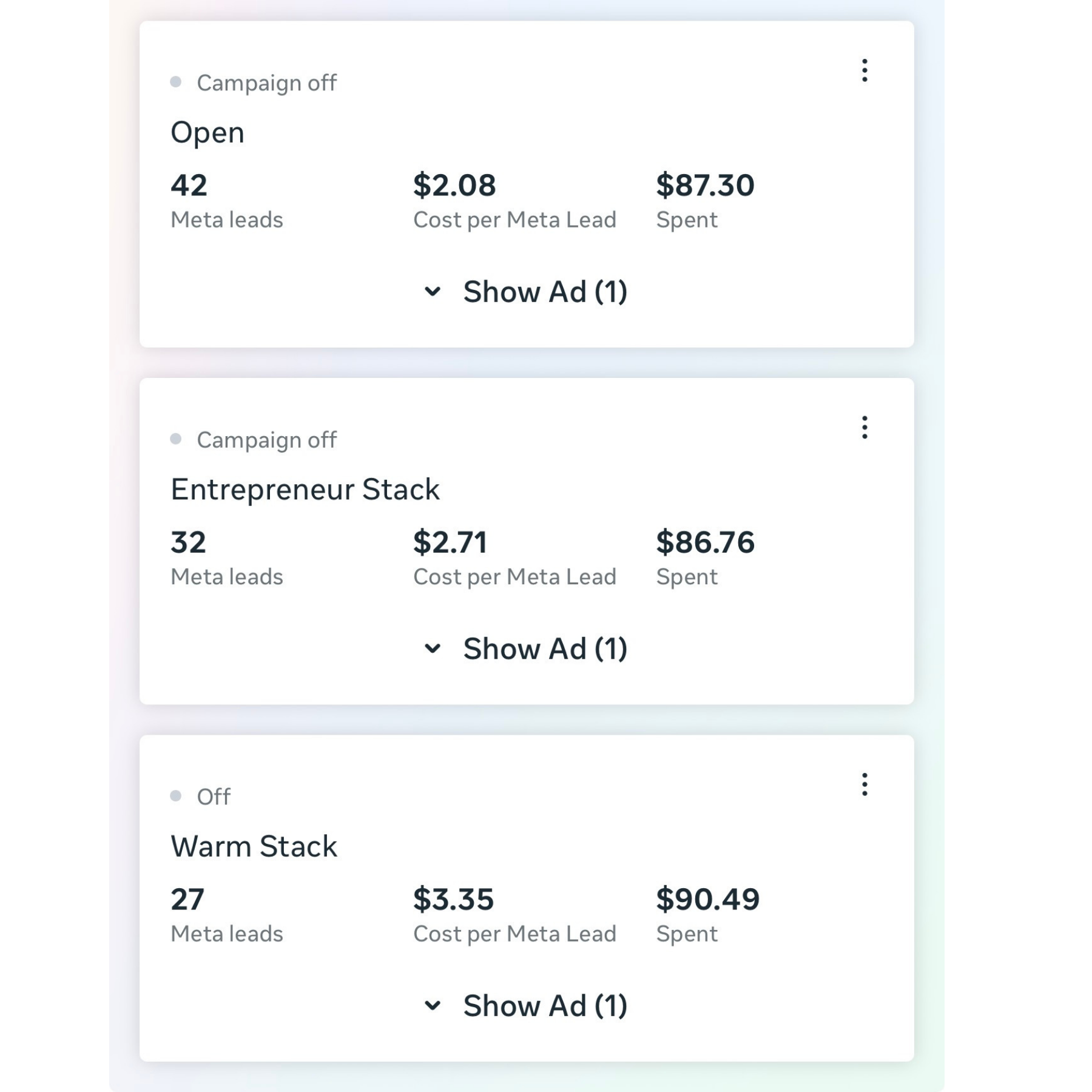Meta Ads Manager showing 101 leads across three campaigns at an average $2.62 cost per lead